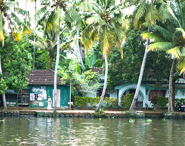 Discover Kerala, a hidden gem in paradise!