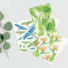 Botanical Mandala A6 Greeting Cards - Tropical Mix - Pack of 6 - Victoria von Stein Design