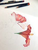 Botanical Mandala Bali - PASSION - Limited Edition Gyclée Hand-Finished Print - Victoria von Stein Design