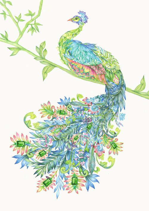 PEACOCK FINE ART PRINT - colourful exotic birds illustration limited edition - Victoria von Stein Design