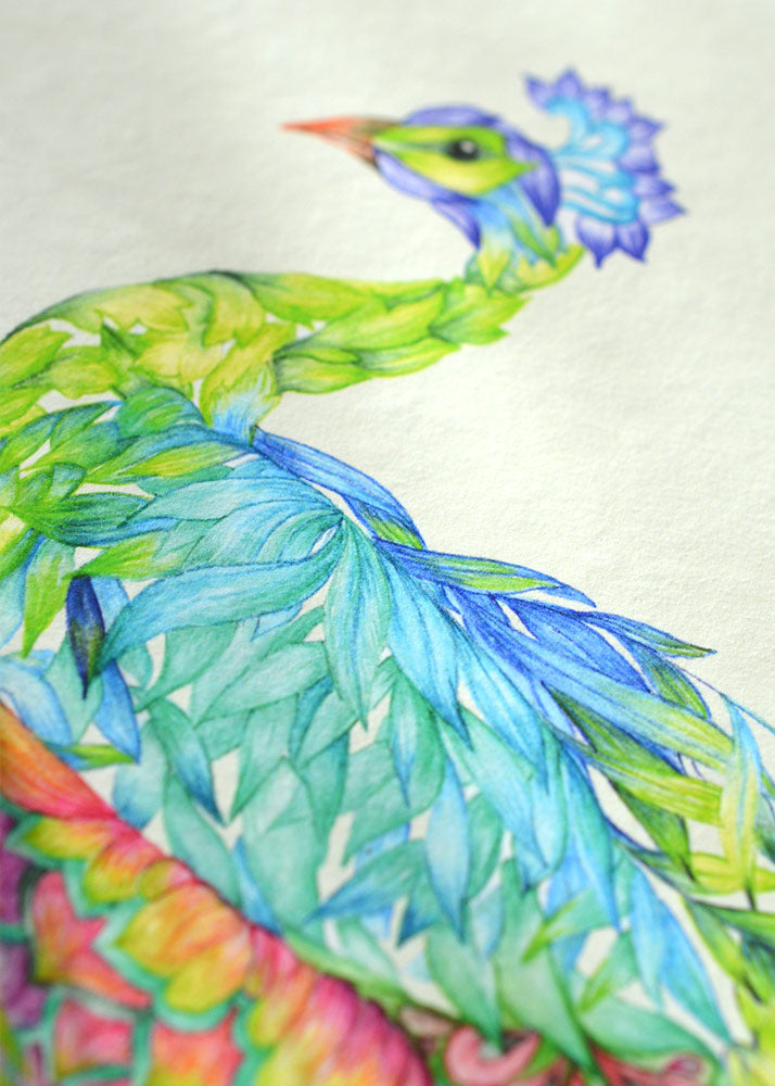 PEACOCK ART PRINT - colourful exotic birds illustration limited edition - Victoria von Stein Design