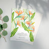 Birds of Paradise Strelitzia Reginae A6 Greeting Card - COMING SOON in March - Victoria von Stein Design