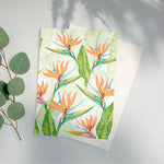 Exotic Tropical Botanical Greeting Cards - Pack of 6 - Victoria von Stein Design