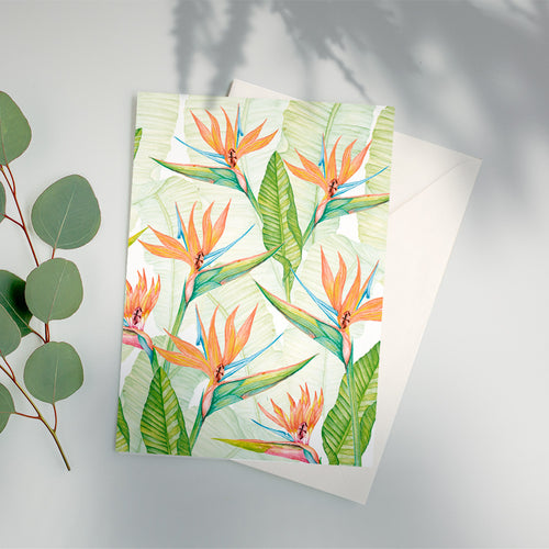 Birds of Paradise Strelitzia Reginae A6 Greeting Card - COMING SOON in March - Victoria von Stein Design