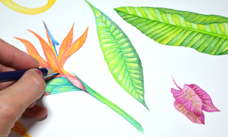 A5 Notebooks - Set of 3 - Exotic Botanical BALI Series - Victoria von Stein Design